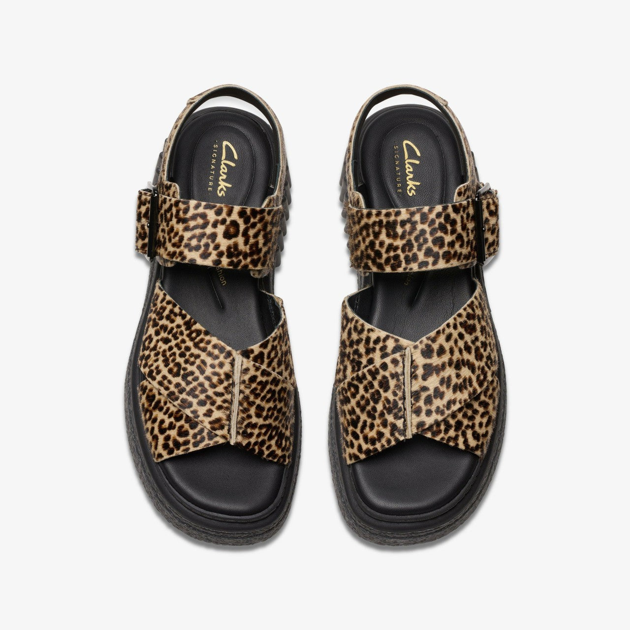 Evamar Wish Leopard Print | Clarks Sale